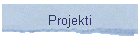 Projekti